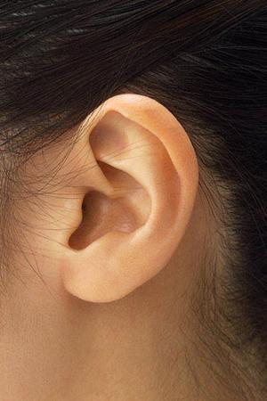 内視鏡検査の重要性と札幌市豊平区のおすすめクリニックを徹底解説！