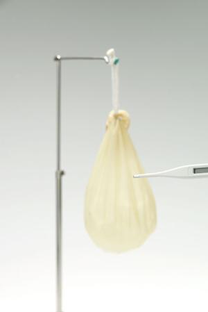 トータルな健康をサポートしてくれます