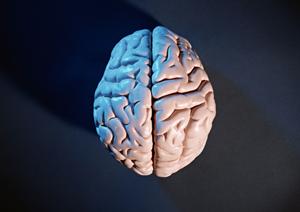 足立区で信頼できる健康診断を受けるならこれ！2025年最新情報と選び方ガイド