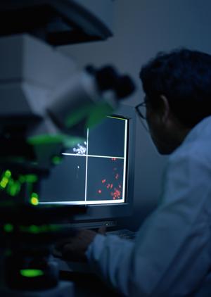 可能な範囲で痛みを小さくする幸区の歯科