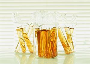 西宮市の整形外科事情最新版2026！選ばれる理由とおすすめクリニック徹底紹介